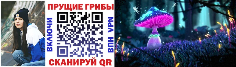 Галлюциногенные грибы Psilocybe наркота Ржев